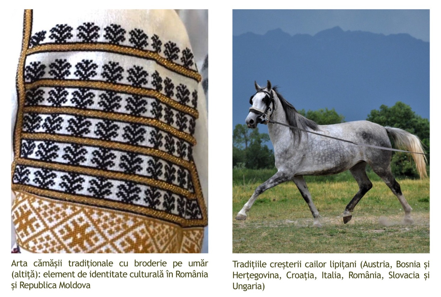 Elemente de patrimoniu cultural imaterial din România în evaluare la UNESCO Elemente de patrimoniu cultural imaterial din România în evaluare la UNESCO
