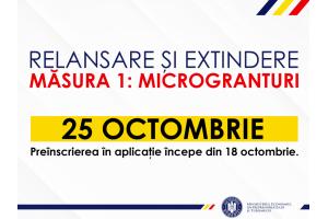 micro_granturi.jpg