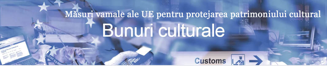 UE_customs.jpg